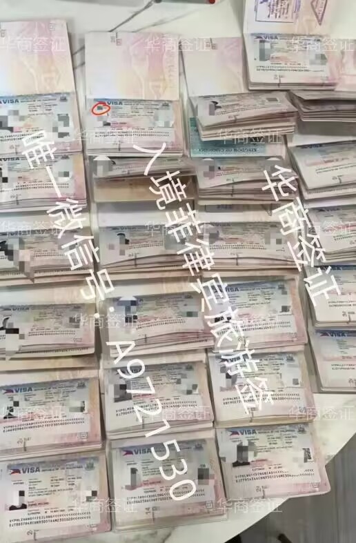 对出境人有要求吗
