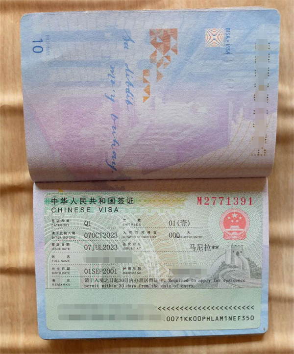 中国签证q1申请表