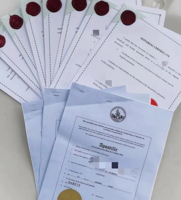 菲律宾海牙认证驾驶证
