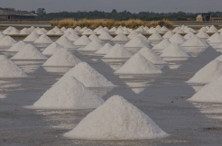 菲律宾总统府：政府努力现代化盐业