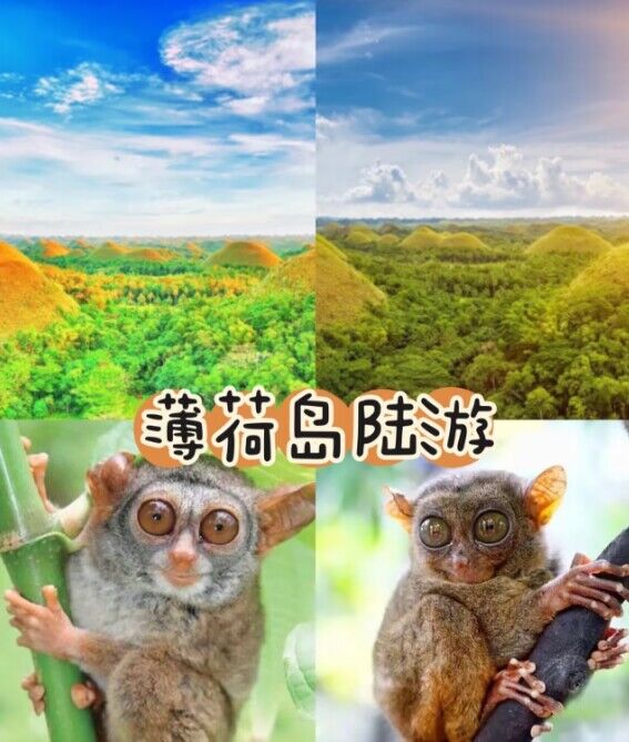 巧克力山名字怎么来的