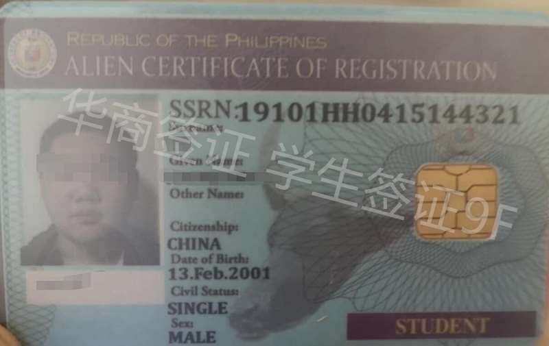 在菲律宾留学有什么热门专业？
