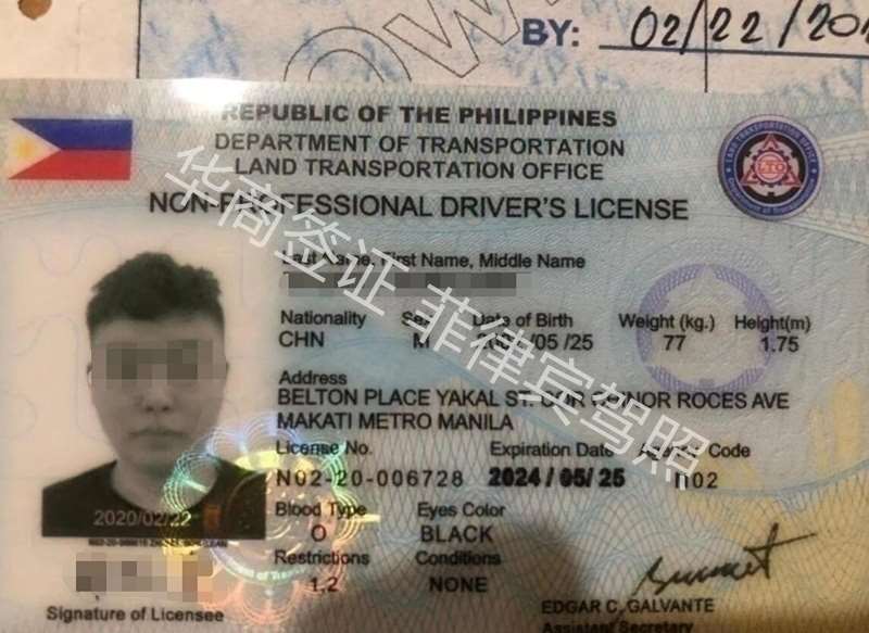 菲律宾是否承认中国驾照(承认中国驾照内容讲解)