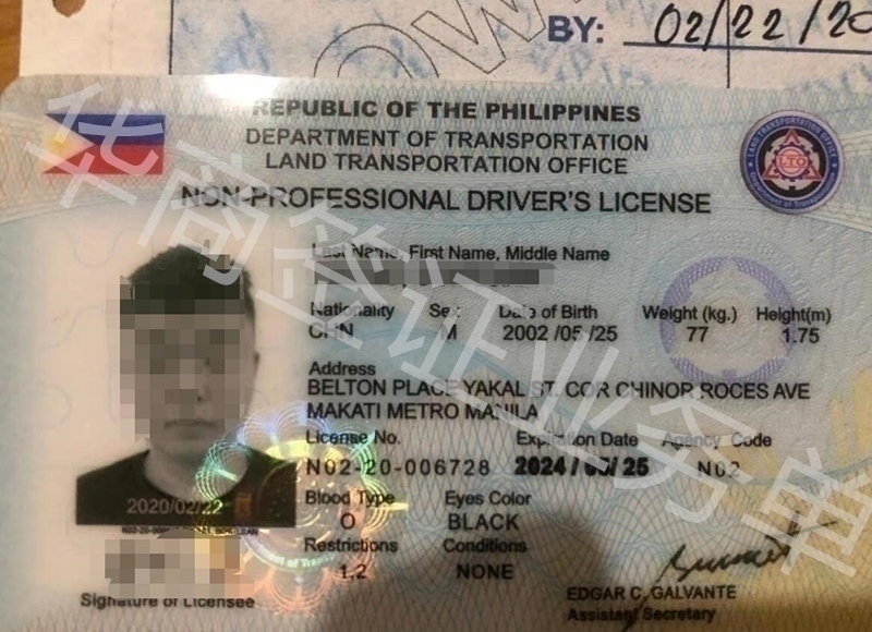 中国人的驾照在菲律宾能不能开车？