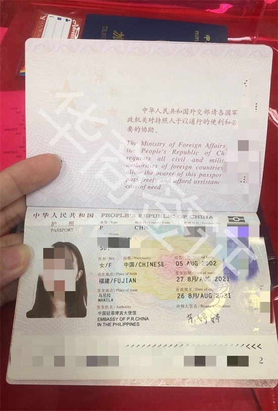 在菲律宾护照丢了怎么办