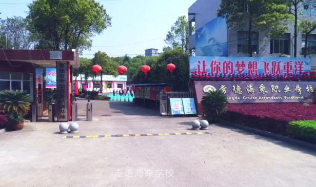 从事学校推荐的工作