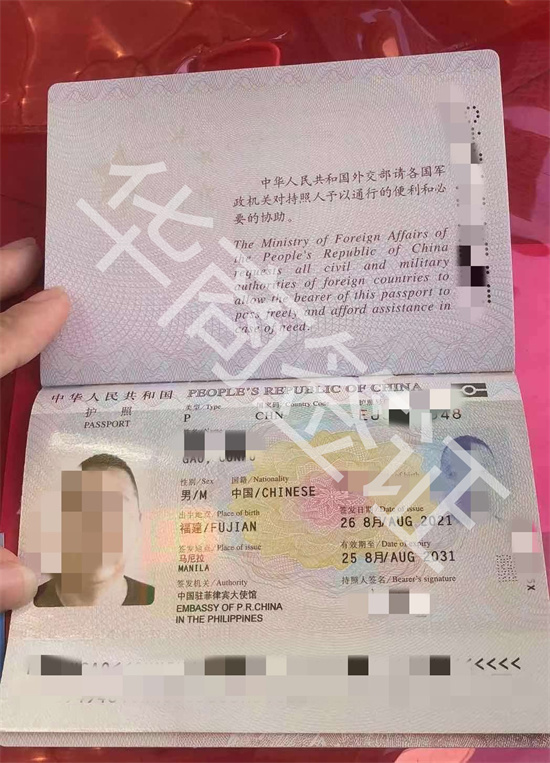 在菲律宾工作护照遗失了可以补办吗