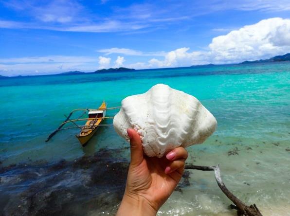 菲律宾旅游团价格大概要多少(旅游团价格介绍)