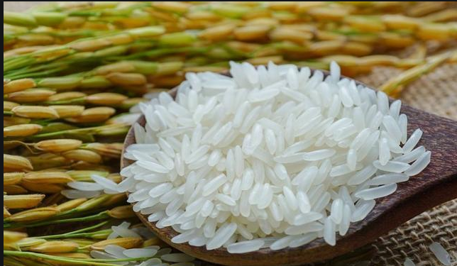菲律宾考虑降低大米进口关税