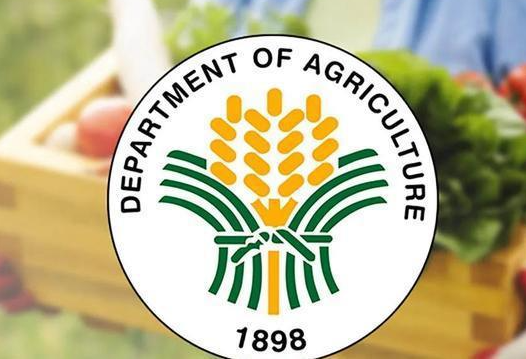菲律宾发展议程负责人着眼于改变2025年农业预算以提高粮食产量