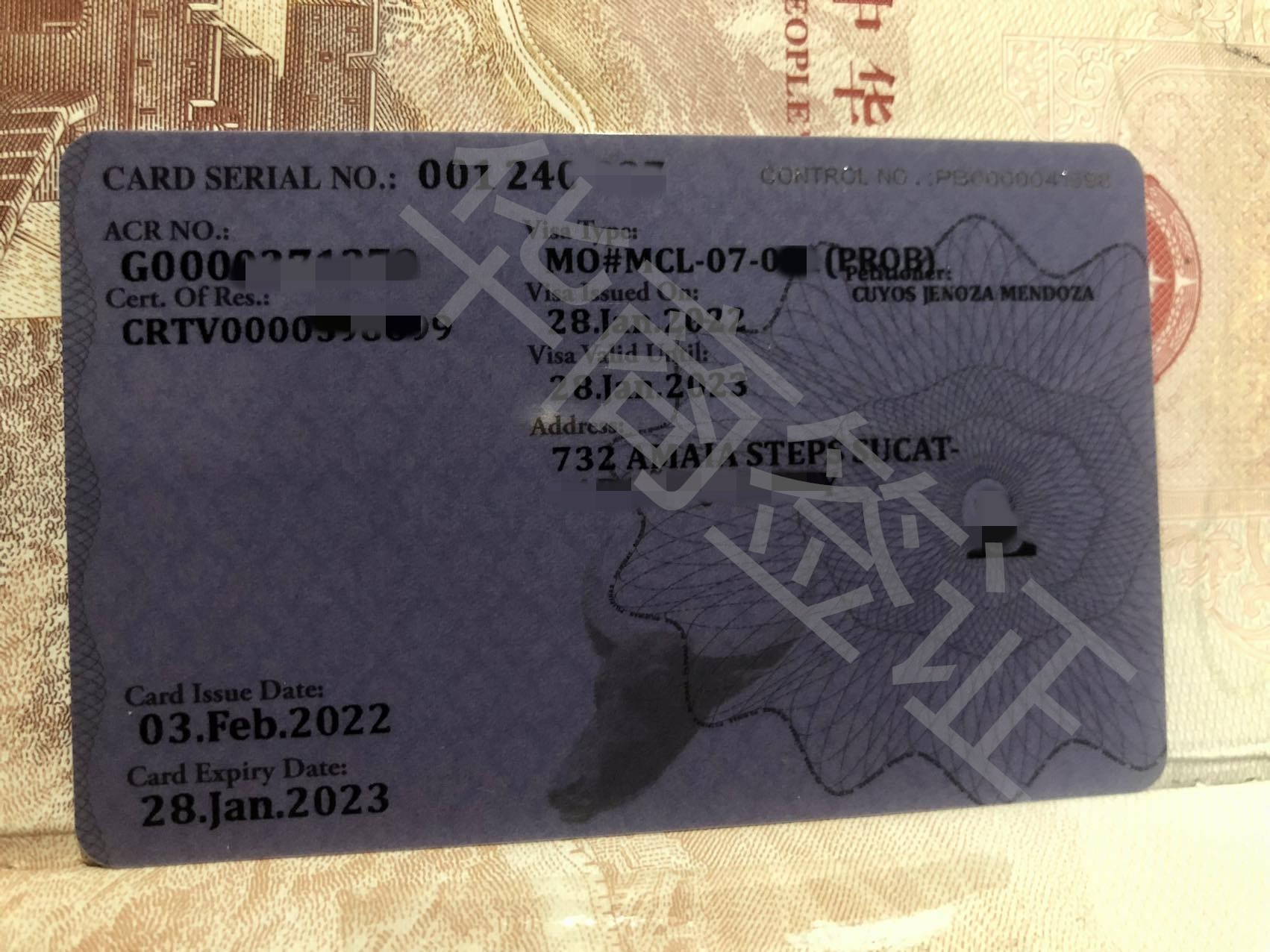 什么是菲律宾13A签证