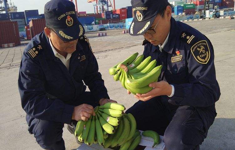 菲律宾海关史上最全面的讲解