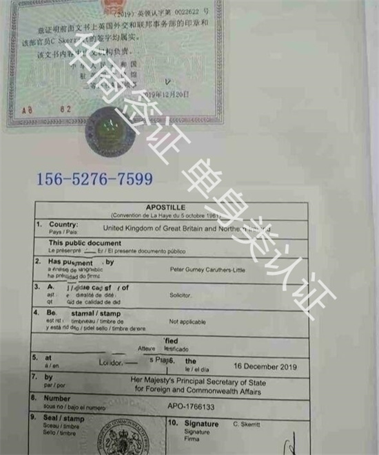无犯罪证明应该怎么开