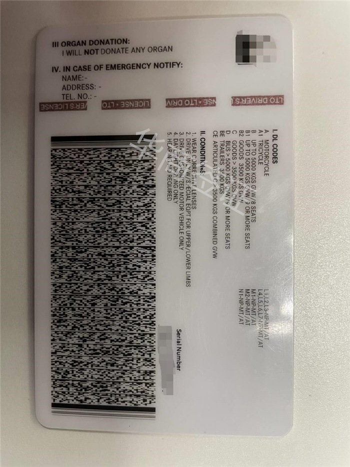 菲律宾双认证驾照
