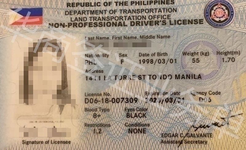 中国人的驾照在菲律宾能不能开车？