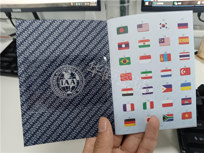 菲律宾签发的国际驾照