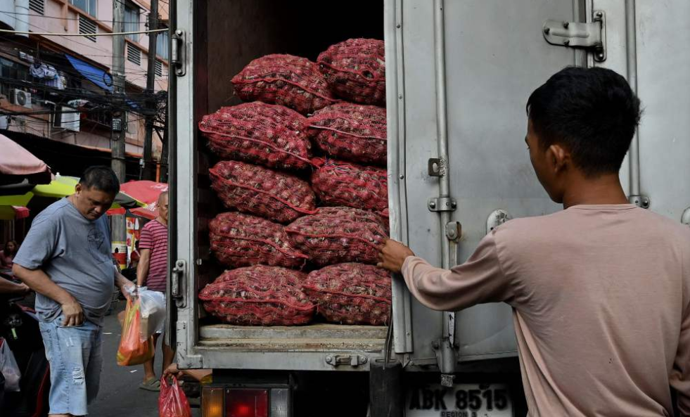 菲律宾洋葱农民因价格低抗议洋葱进口
