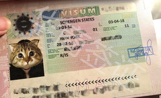 申根探亲签是什么签证类型