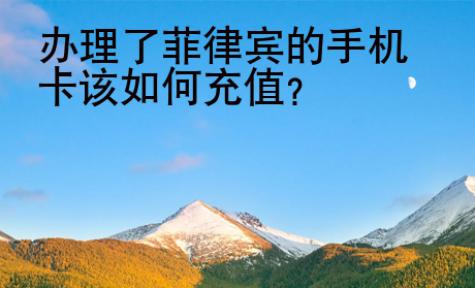 办理了菲律宾的<strong>手机卡</strong>该如何充值