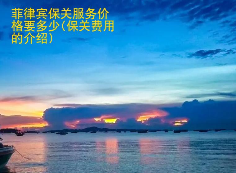 <strong>菲律宾</strong>保关服务价格要多少(保关费用的介绍)