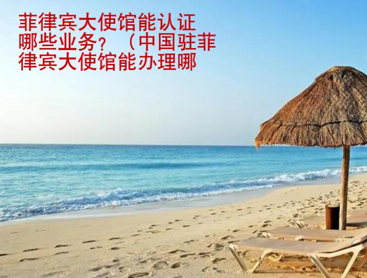 菲律宾大<strong>使馆</strong>能认证哪些业务