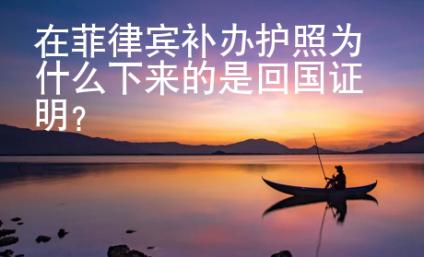 在菲律宾补办护照为什么下来的是<strong>回国</strong>证明