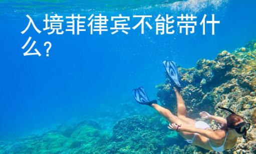 入境菲律宾不<strong>能带</strong>什么