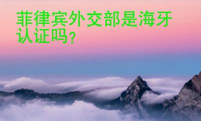 菲律宾外交部是<strong>海牙</strong>认证吗