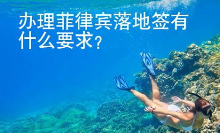 <strong>办</strong>理菲律宾落地签有什么要求