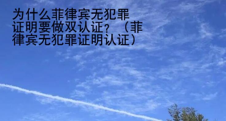 <strong>为什么</strong>菲律宾无犯罪证明要做双认证