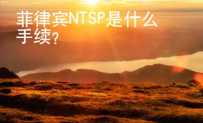 菲律宾NTSP是什么手续？