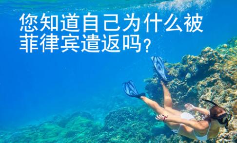 您知道自己为什么被菲律宾遣返吗？