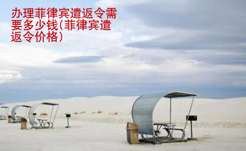 办理<strong>菲律宾</strong>遣返令需要多少钱(菲律宾遣返令价格)