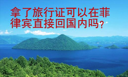 拿了旅行证可以在菲律宾直接<strong>回国</strong>内吗