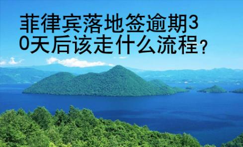 菲律宾落地签逾期30天后该走<strong>什么</strong>流程