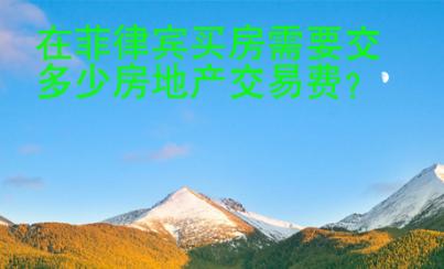 在菲律宾买房需要交多少房地产交易费
