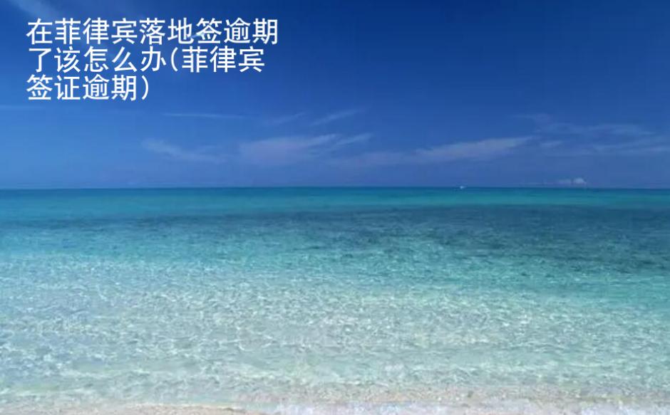 在菲律宾落地签逾期了该怎么办(<strong>菲律宾签证</strong>逾期)