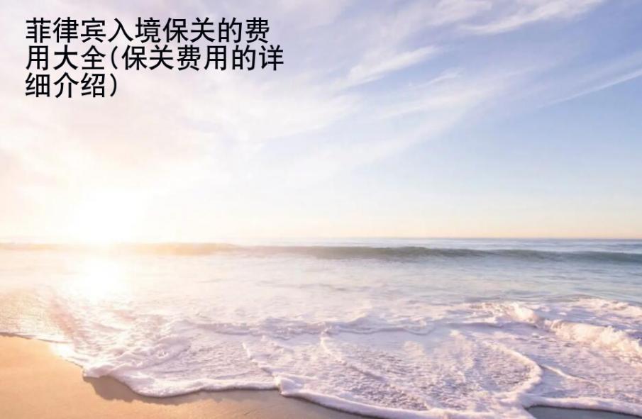 菲律宾入境保<strong>关的</strong>费用大全(保关费用的详细介绍)