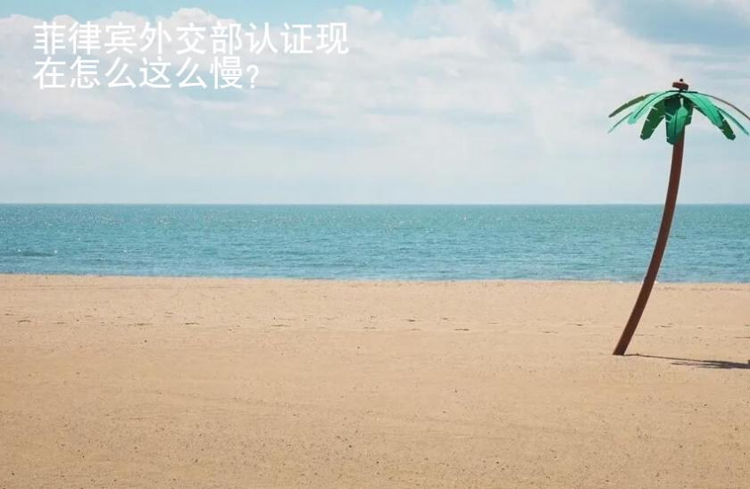 菲律宾<strong>外交</strong>部认证现在怎么这么慢