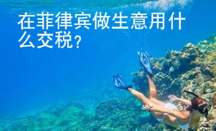 在<strong>菲律宾</strong>做生意用什么交税