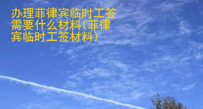 办理菲律宾临时工签需要什么材料(菲律宾临时工签材料)