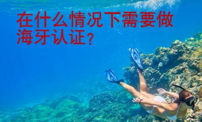 在什么情况下需要做海牙认证？