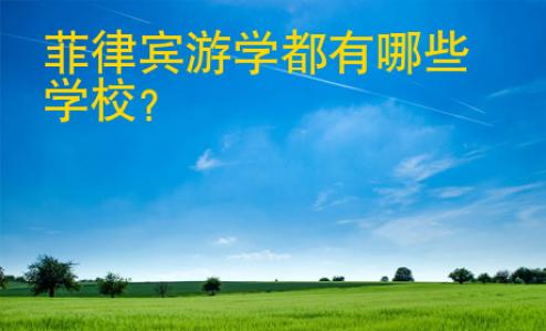 菲律宾游学都<strong>有哪些</strong>学校