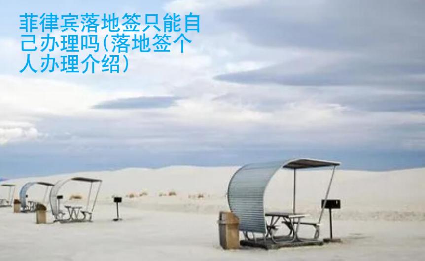 菲律宾落地签只能自己办理吗(落地签个人办理<strong>介绍</strong>)