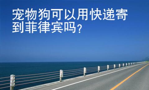 宠物狗可以用快递寄到<strong>菲律宾</strong>吗