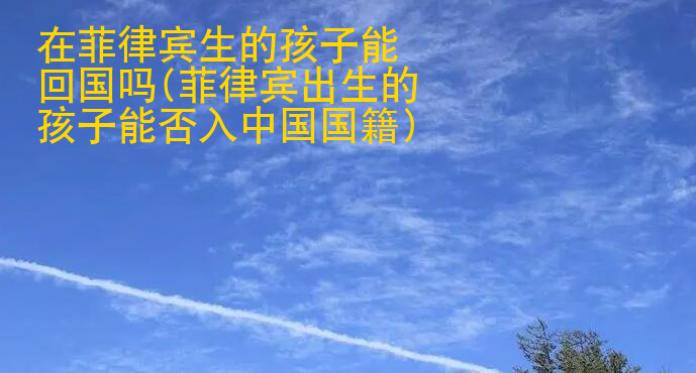 在菲律宾生的孩子能回国吗(菲律宾出生的孩子能否入中国国籍)