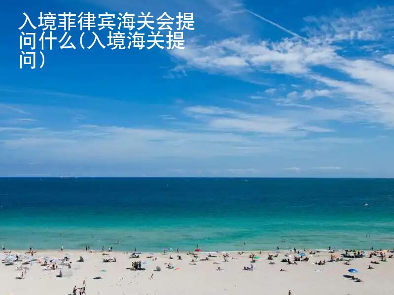 <strong>入境</strong>菲律宾海关会提问什么(入境海关提问)