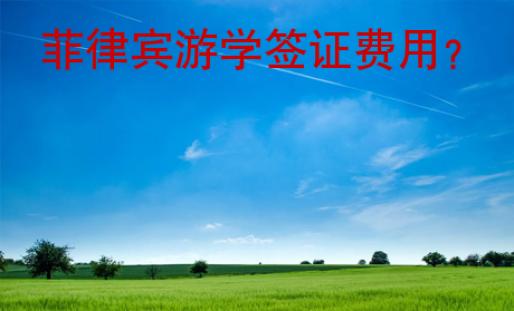 菲律宾游学签证<strong>费用</strong>