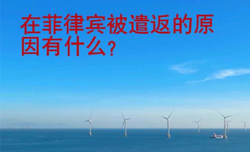 <strong></strong>在菲律宾被遣返的原因有什么