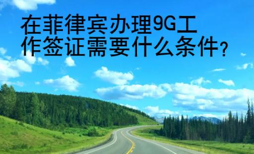 在菲律宾办理9G工作签证需要什么条件？